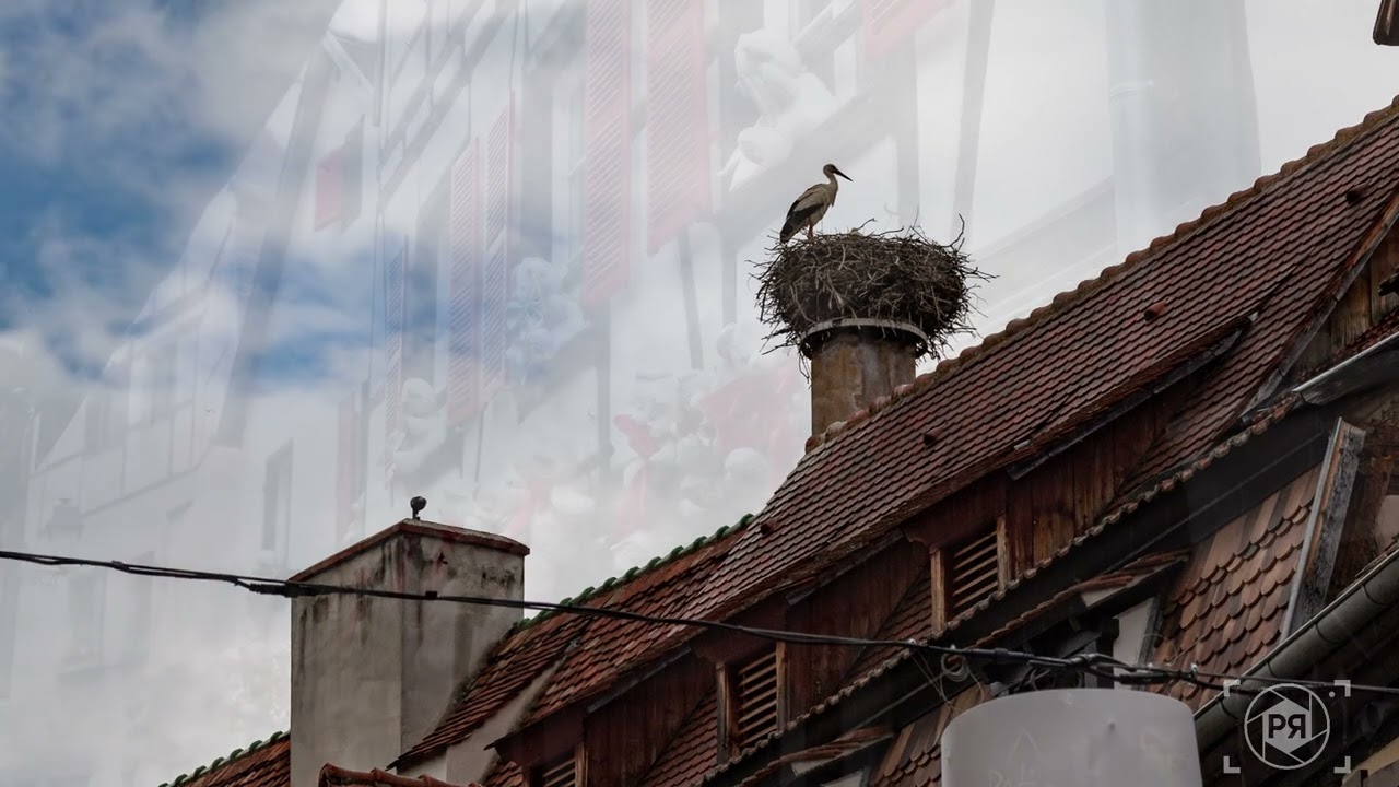 Франция. Эльзас. Оберне (Obernai)