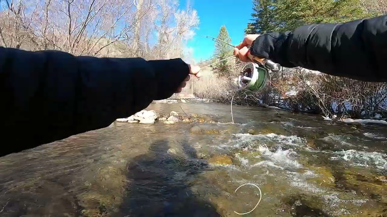 MaxCatch Ultra Light, 3 weight Fly Rod and Reel. 🎣