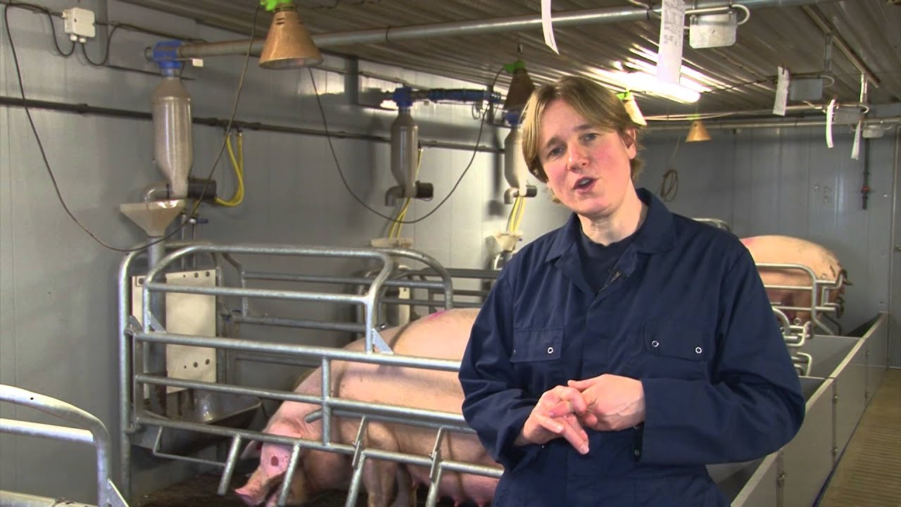 Een soepel geboorteproces