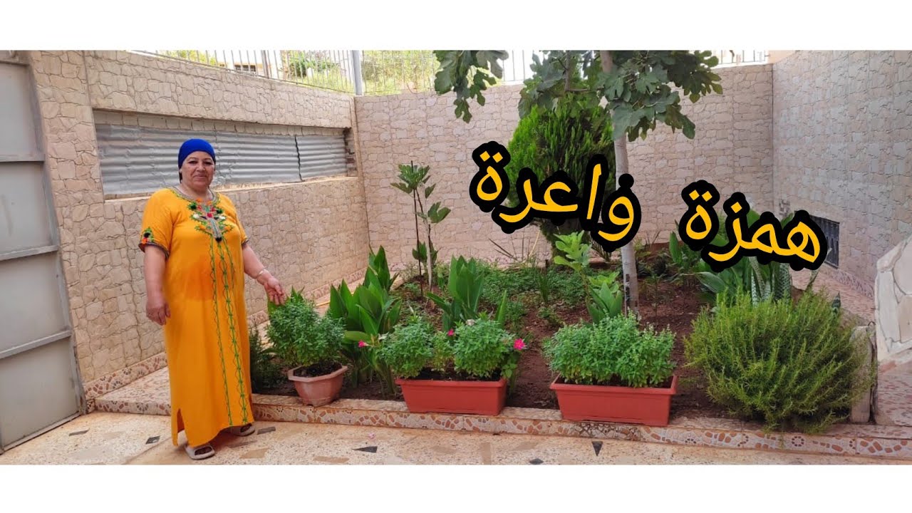منزل للكراء في مدينة الحسيمة بثمن خيالي