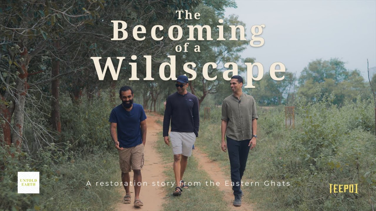 The Becoming of a Wildscape