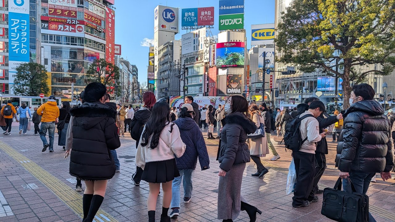 【高画質FHDお散歩ライブカメラ】渋谷　散歩　Shibuya walking【live camera】2026/01/23