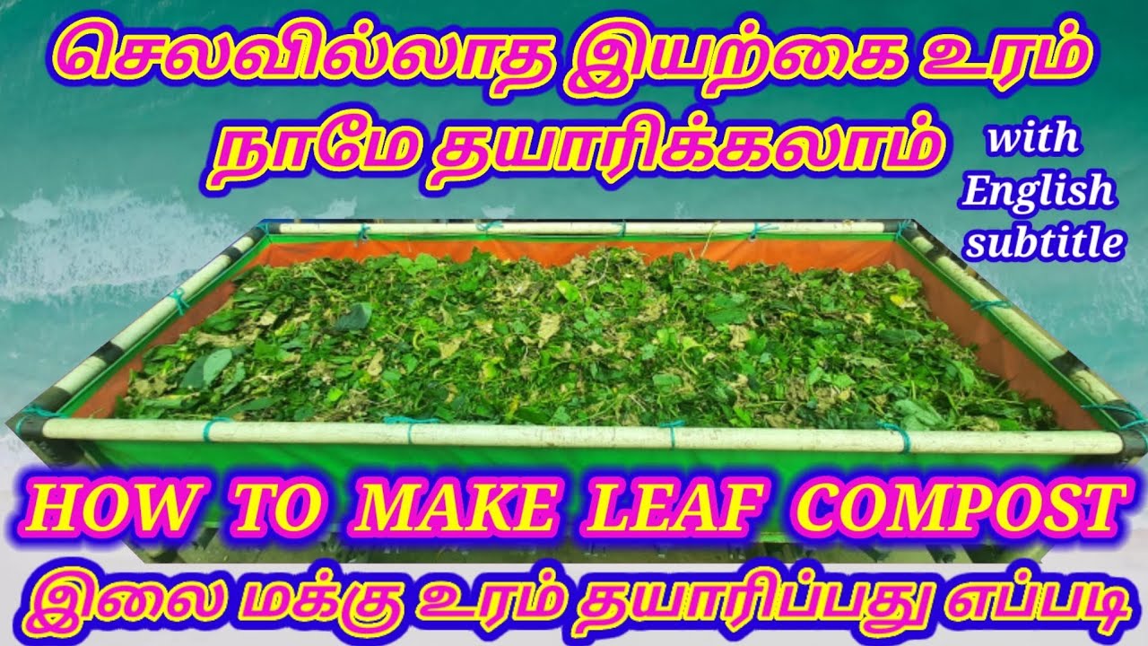 zero budget homemade organic fertilizer | how to make leaf compost at your garden. இலை மக்கு உரம்