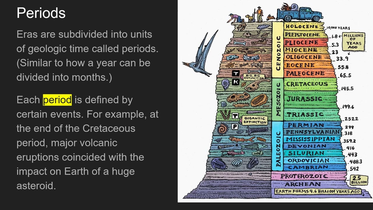 Lesson 2 Geologic Time Scale
