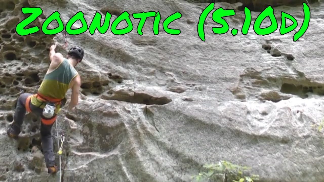 Uncut Send - Zoonotic