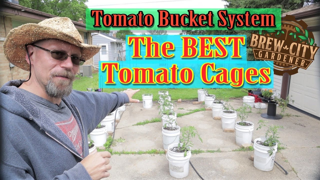 Tomato Bucket System - The BEST Tomato Cages!