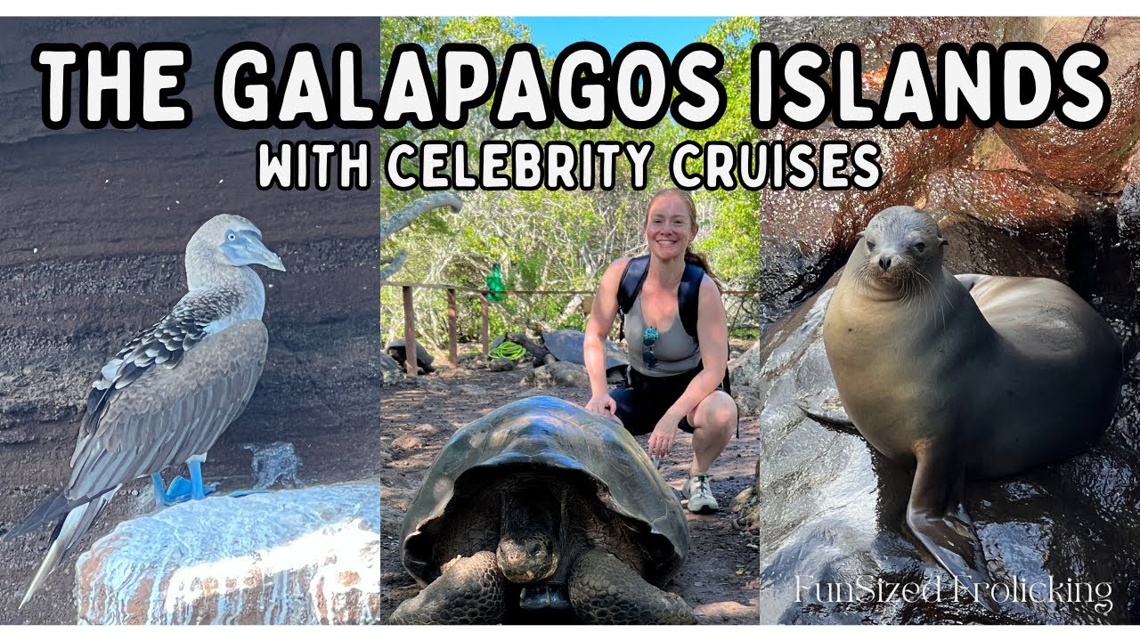 7 NIGHT INNER LOOP CELEBRITY CRUISE TO THE GALAPAGOS ISLANDS