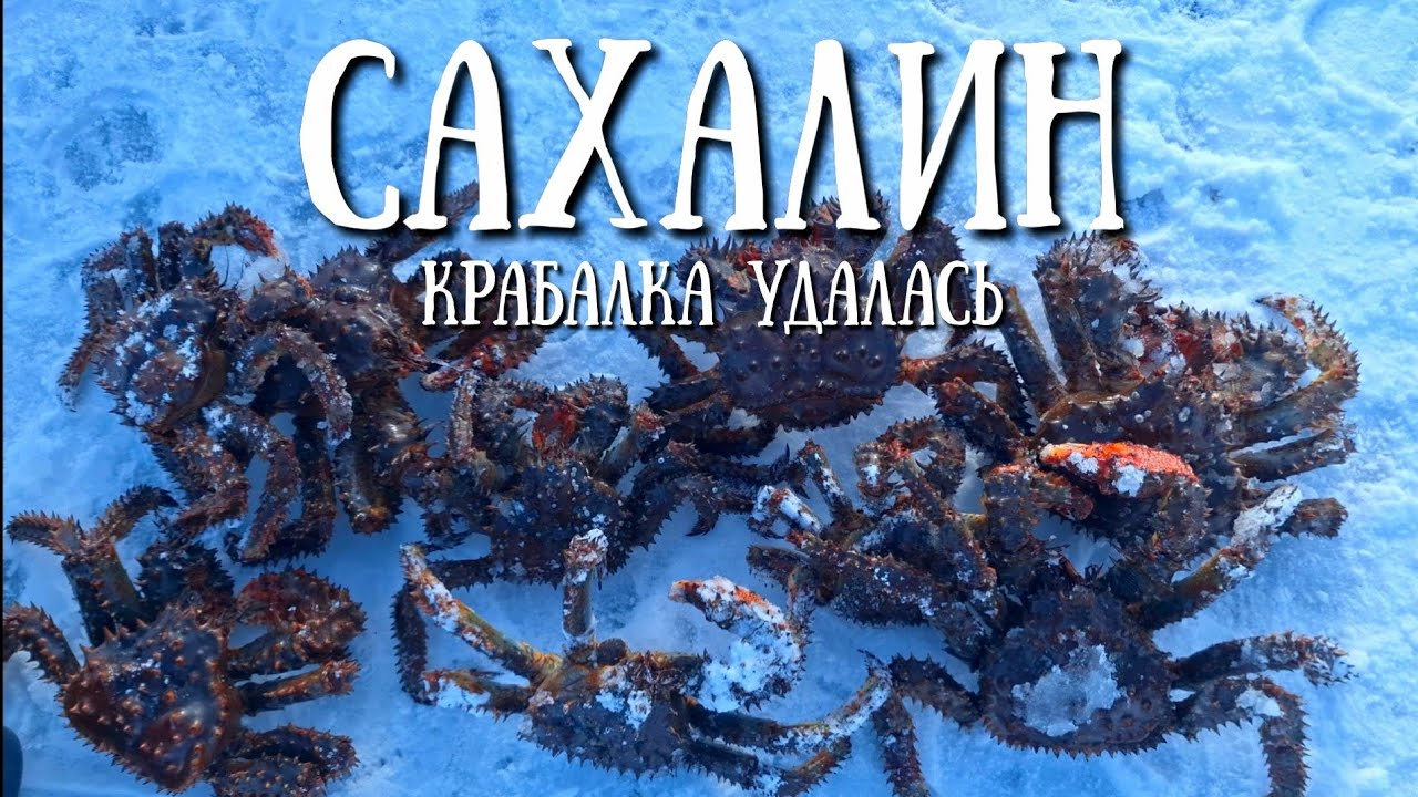 Сахалин - крабалка на новом месте , Первая речка #сахалин #рыбалка #зима #fishing #крабалка 