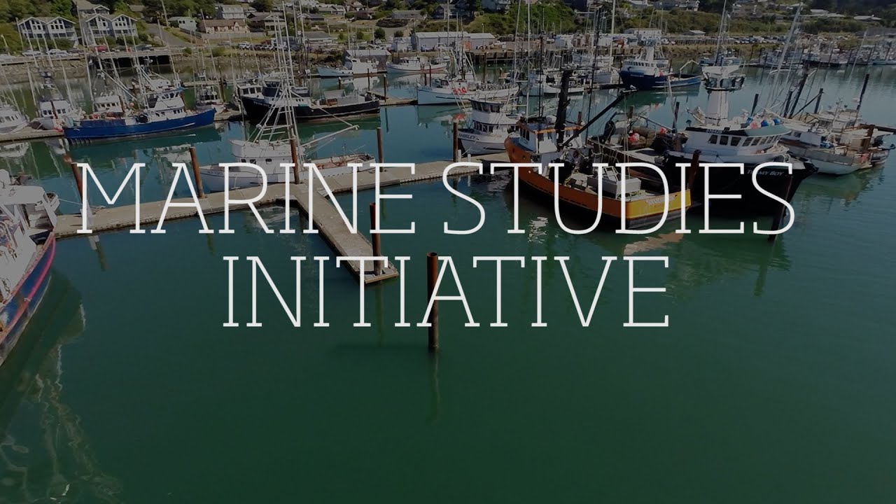 Marine Studies Initiative