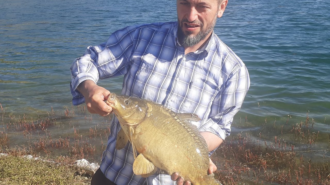 ESIMLE GINE GUZEL BI KAMP YAPTIK #SAZANAVI #fish #kamp #huzur BOL AKSYONLU #BALIKAVI