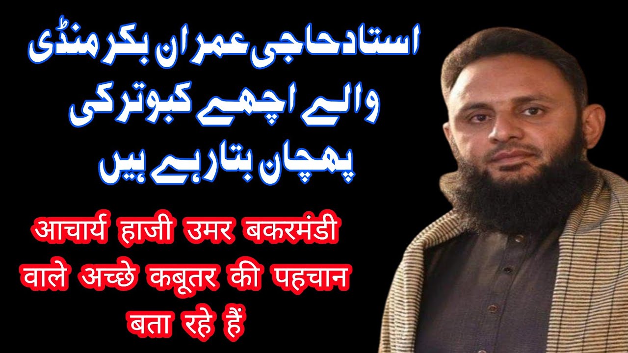 latest interview of ustad Haji Imran Bakarmandi waly | Achy kabuter ki pehchan | selecting kabuter