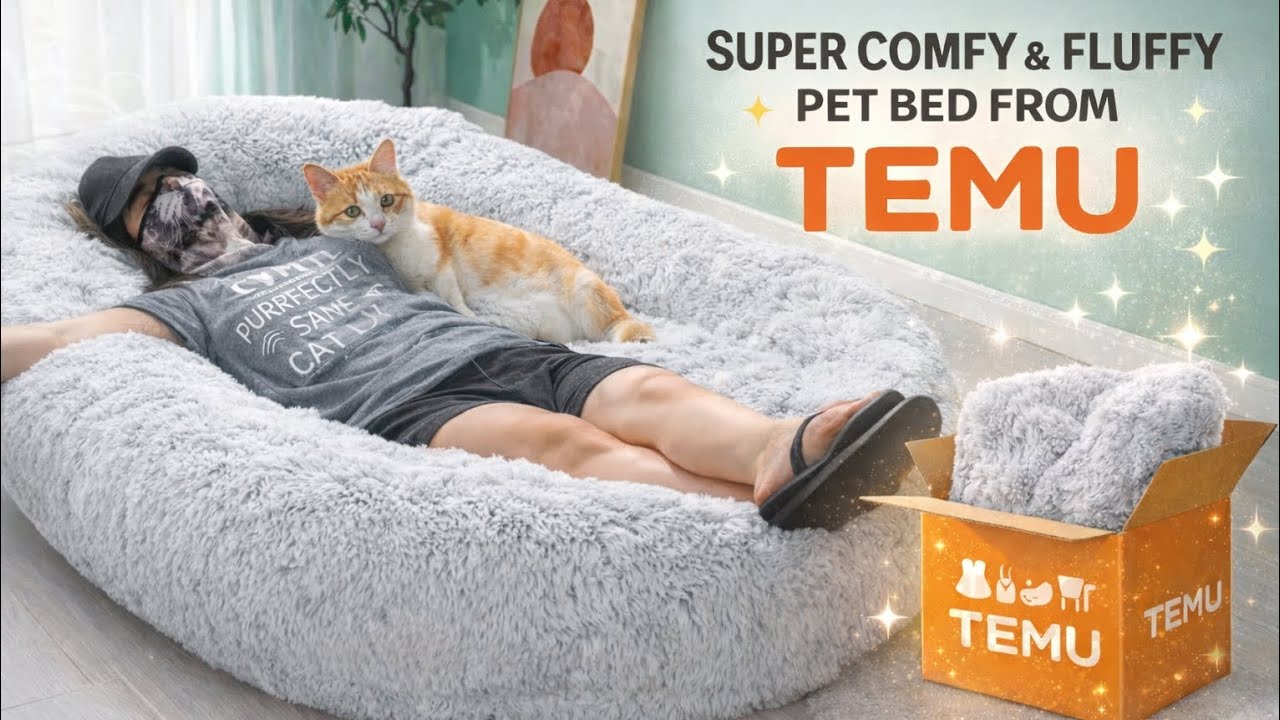 This Temu Pet Bed Is INSANE!