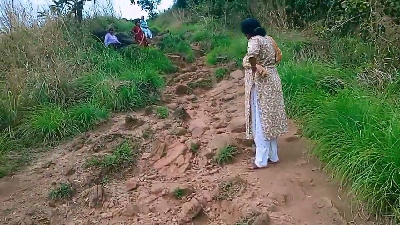 Ranipuram video | റാണിപുരം | 3.5 കിലോ മീറ്റർ അകലെയുള്ള കൊടുമുടിയിലേക്ക് ഒരു ട്രക്കിങ്ങ്