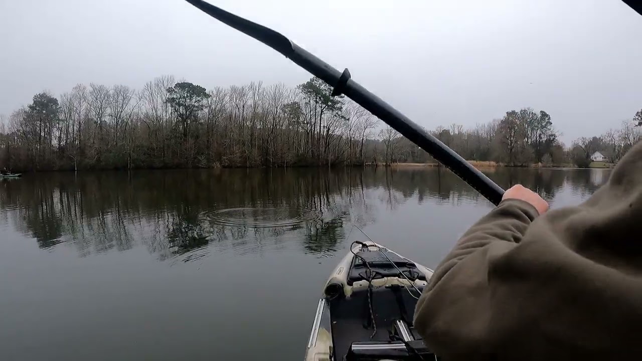 Fly Fishing Battle of Eutaw Springs