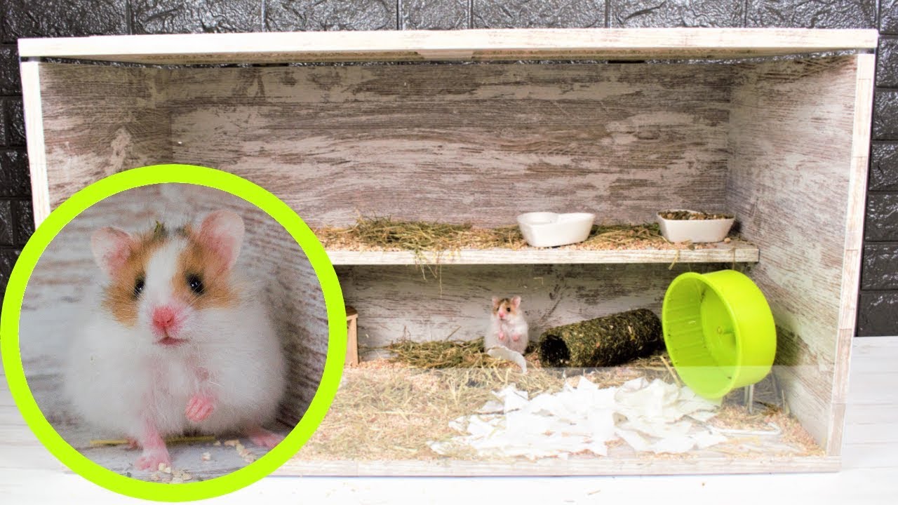 COMO HACER CASA PARA HAMSTER CASERA DE MADERA 🐹 ACUARIO O TERRARIO PARA ROEDORES