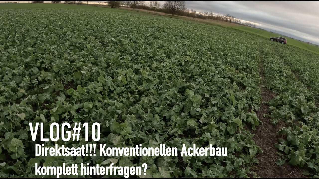 VLOG#10 Direktsaat!!! Konventionellen Ackerbau komplett hinterfragen?