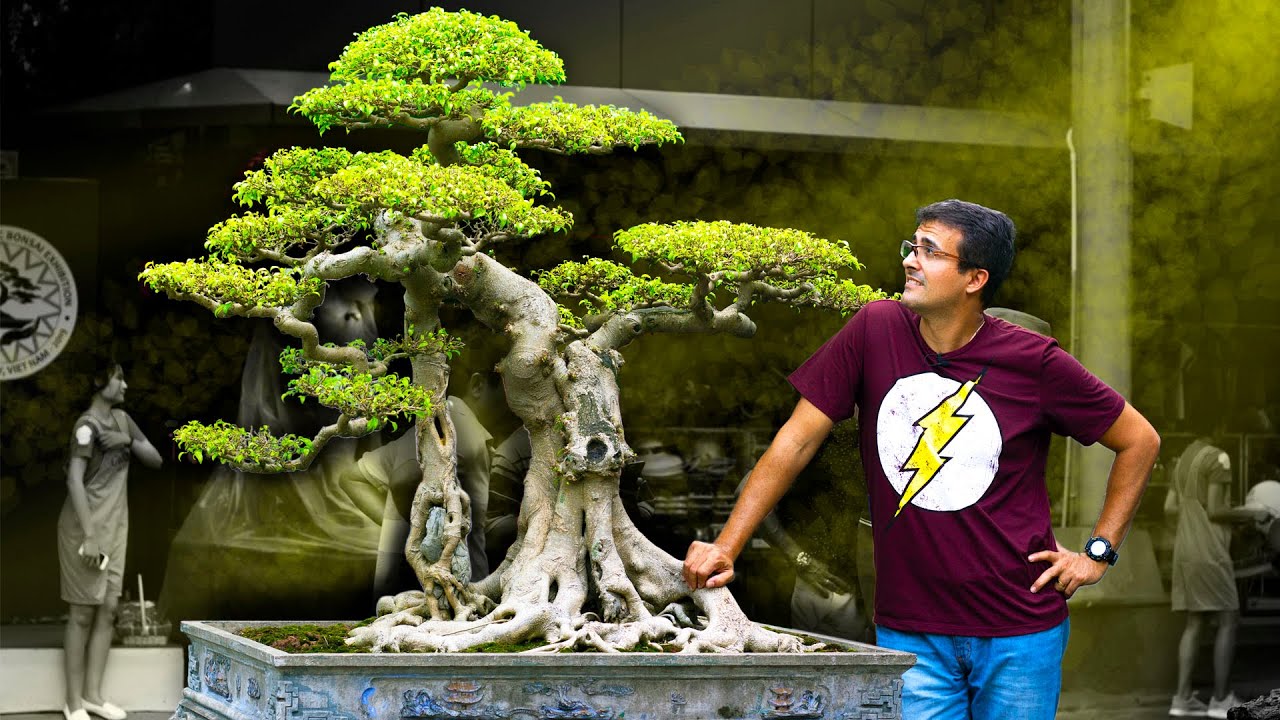 EXPO DE BONSAI ANIMAL, GIGANTE !!!