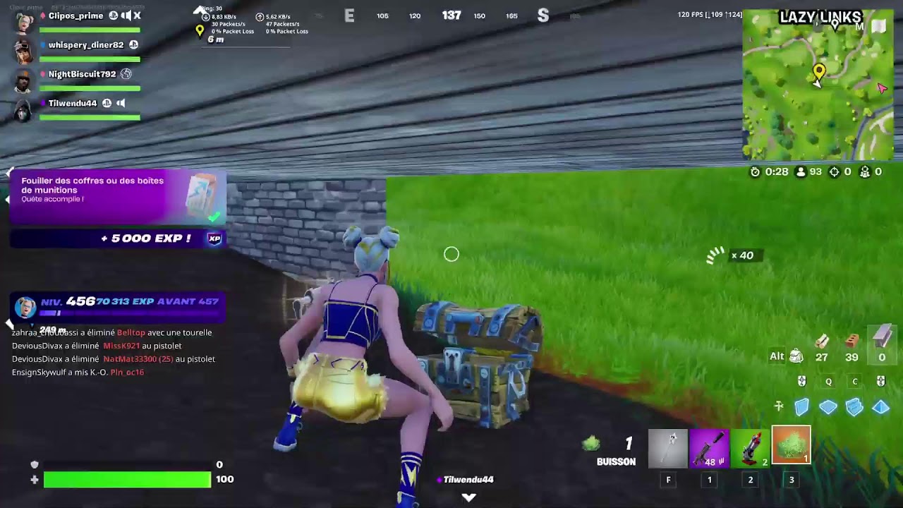 Live Fortine en chill