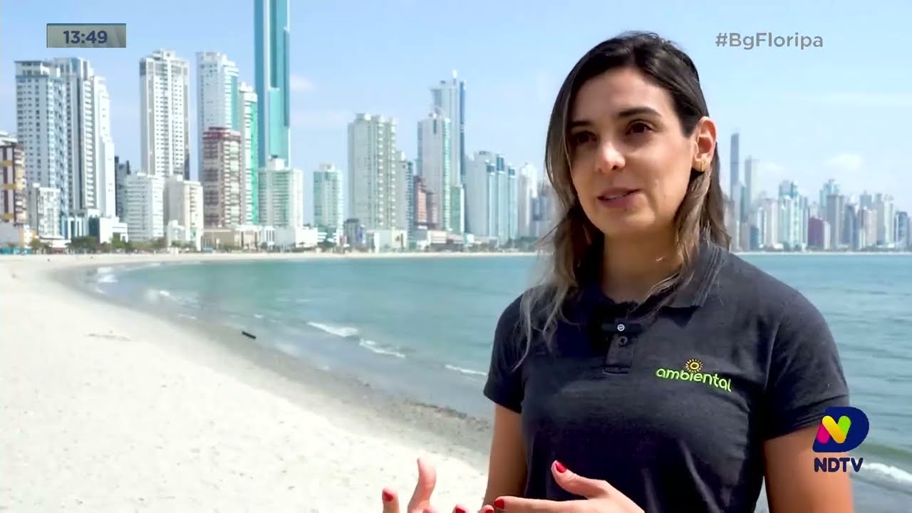 Balneário Camboriú: mergulhadores fazem a limpeza do fundo do mar retirando resíduos indesejados