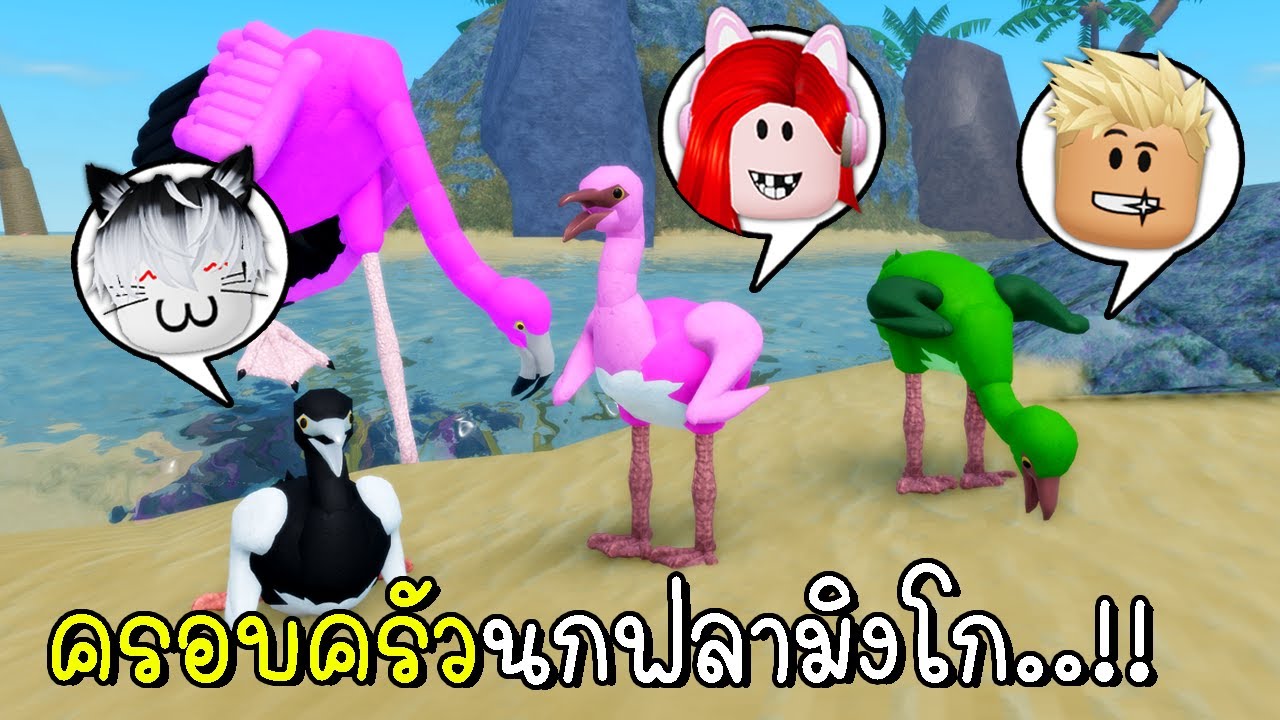 พี่ฝนพี่เอกปุ๊กปิ๊กเป็นครอบครัวนกฟลามิงโก 🦩🦩🦩  Roblox Feather Family Flamingo