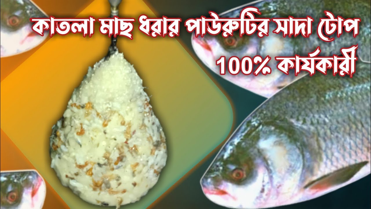 কাতলা মাছ ধরার পাউরুটির সাদা টোপ 100% কার্যকরী ||katla macher top ||Catla fish bait