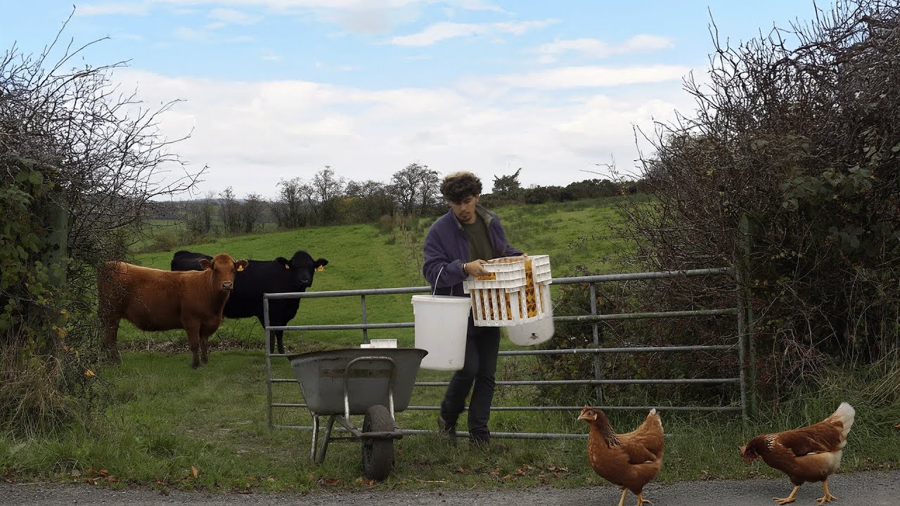 Ep.31 Elegí una vida rural tranquila: cuido gallinas, cerdos, vacas y como del huerto familiar