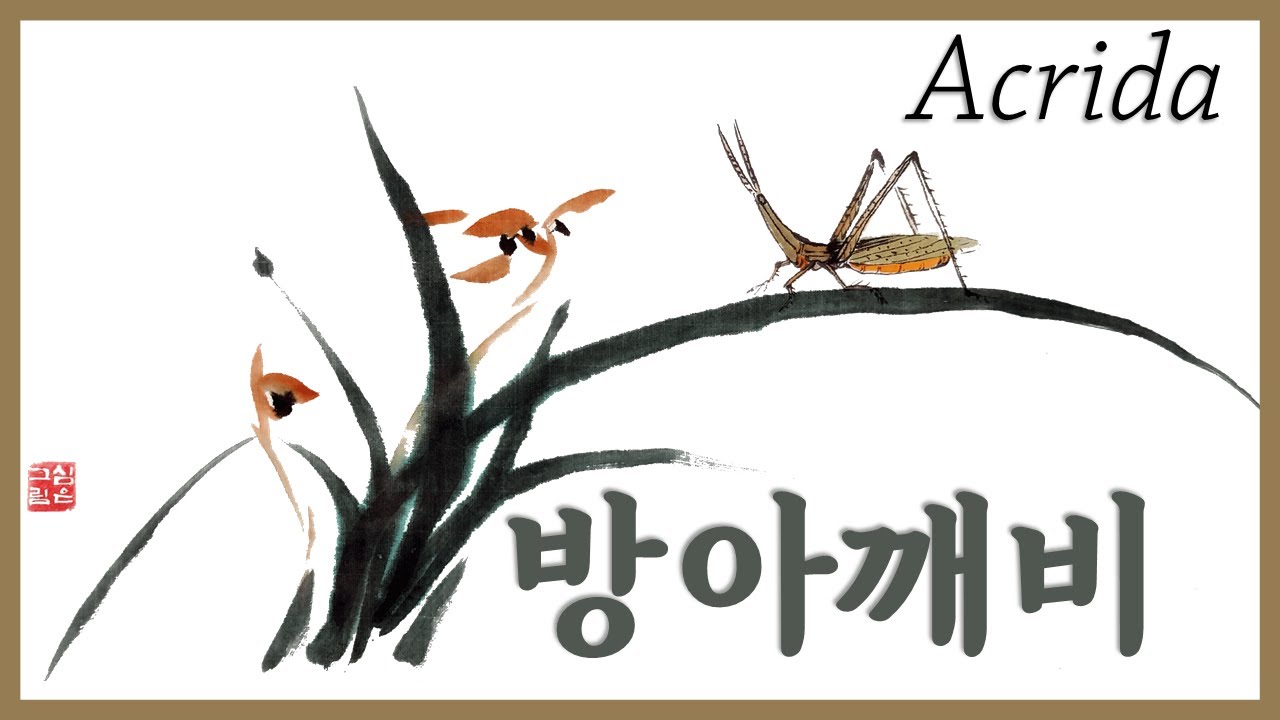 [한국화/문인화]방아깨비 그리는 방법/ 방아깨비 그리기/Drawing an Acrida.