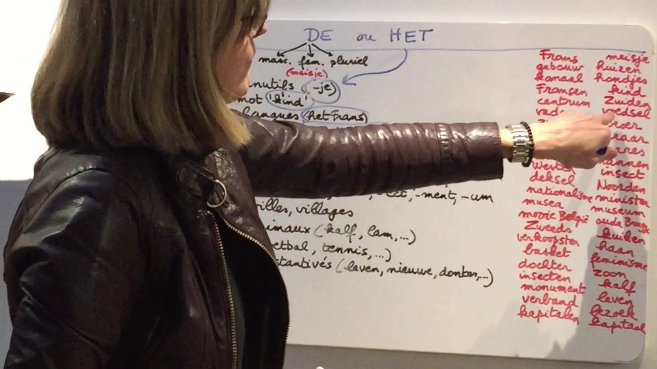 47 DE ou HET en néerlandais: théorie + exemples + exercices