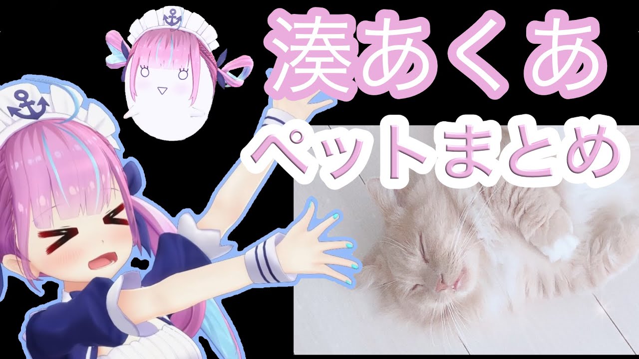 【湊あくあ】ホロメンのペットまとめ【ホロライブ/切り抜き】