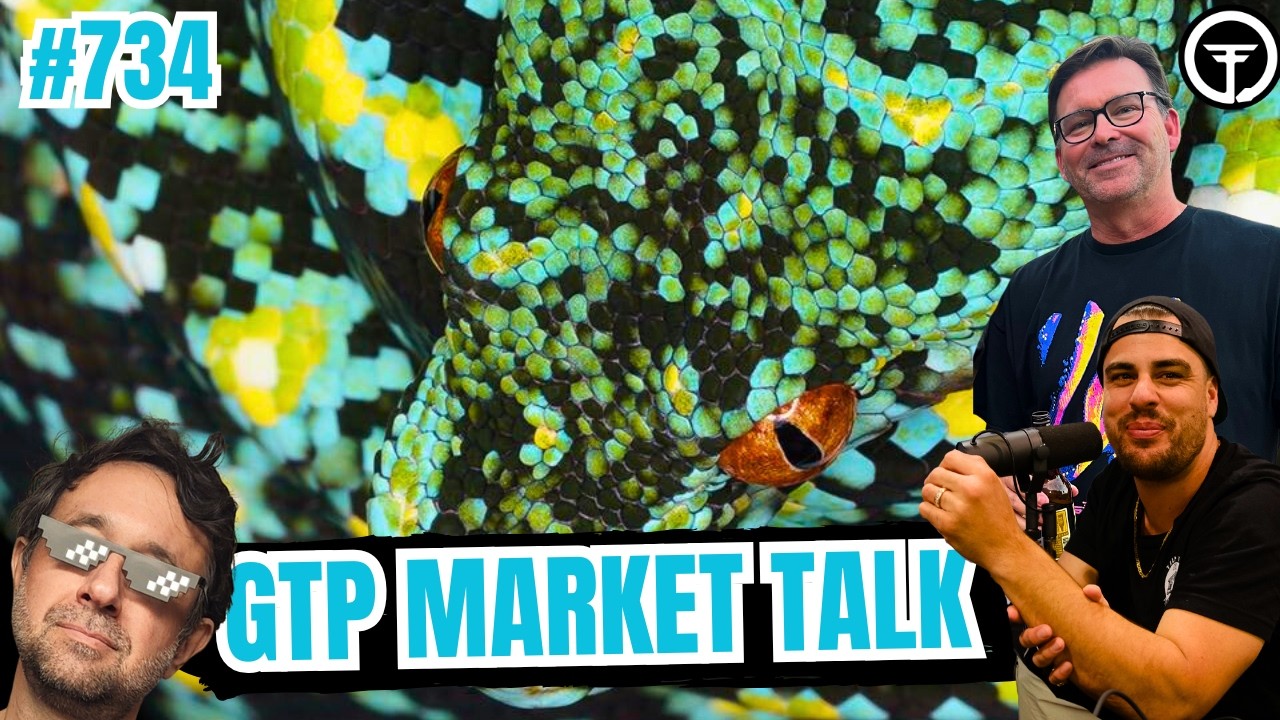 The Current State Of The Green Tree Python Market & Where Things Are Headed | AITT Ep.734 (Live)