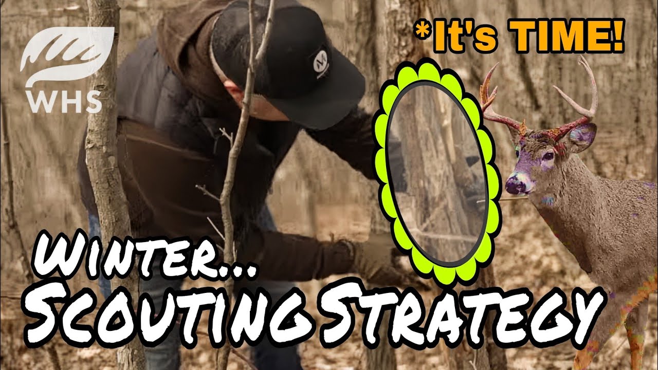 Important Winter Scouting Tips For Hardcore Deer Hunters