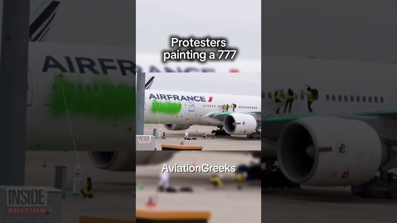 Honest pilot reaction to plane vandalism #aviation #meme