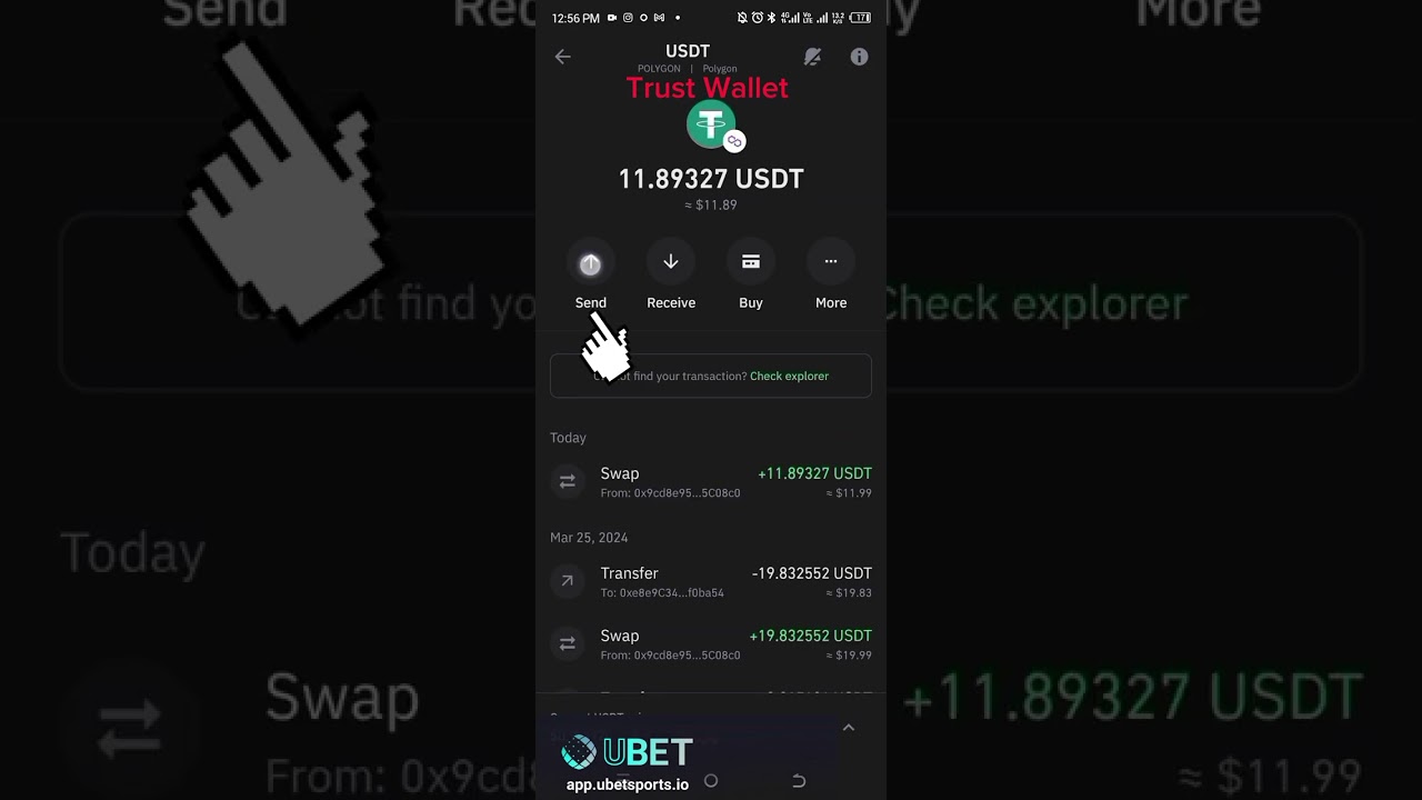 Withdraw USDC.e from Trust Wallet to ByBit and then convert to fiat.