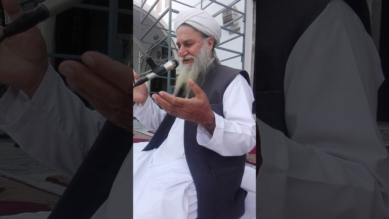 Syed Riaz Hussain Shah Party Data || 0300 8165494 ||