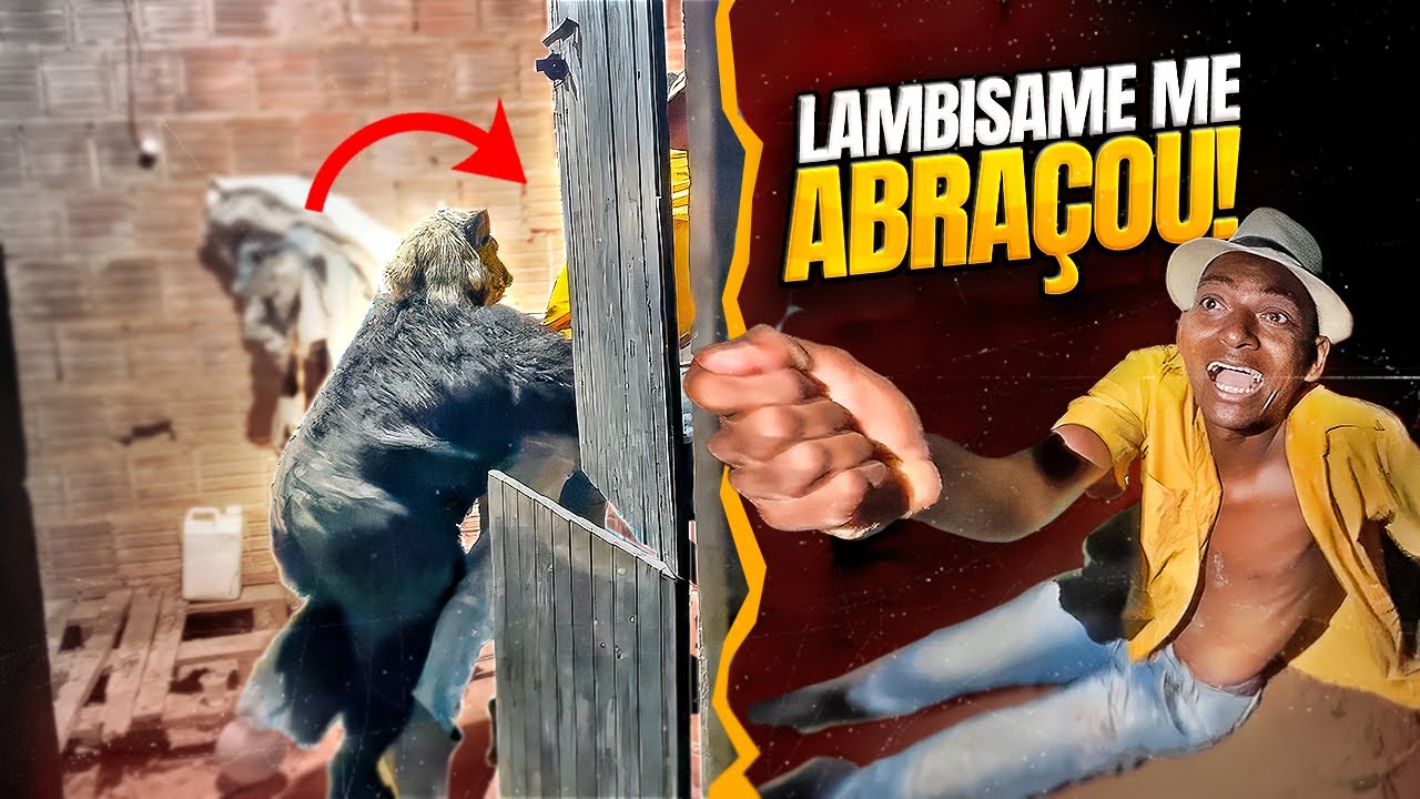 BETO TIZIU E ERIK VÃO FECHAR O SÍTIO E DÃO DE CARA COM O BICHO 😂😂 | BETO TIZIU