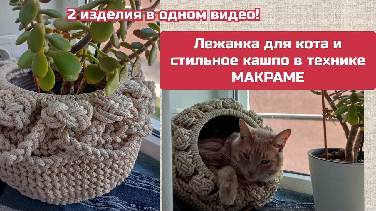 Лежанка-кокон для кота и стильное кашпо в технике МАКРАМЕ. Два изделия в одном видео!!