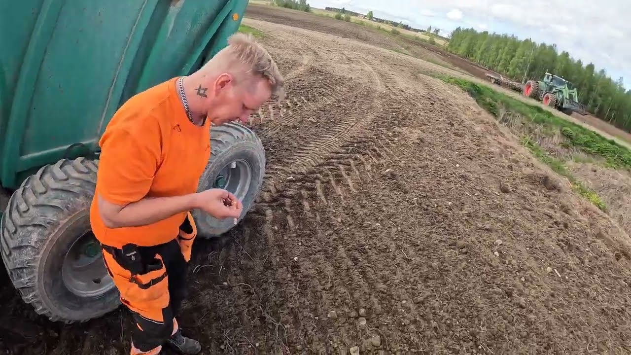 kivien napluuta | kivipekka 5