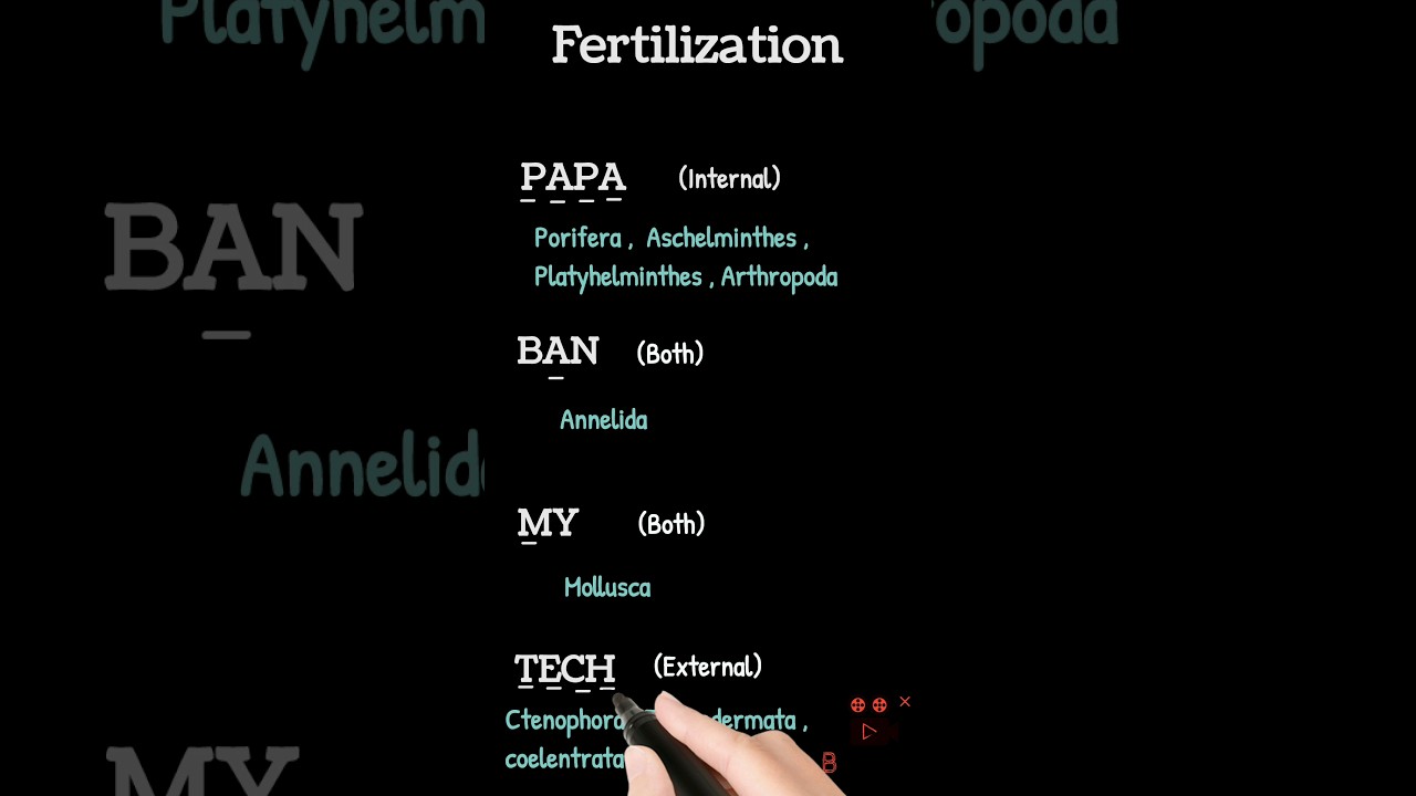 easy trick to learn fertilisation of animal kingdom phylum class 11th #neet #youtubeshorts #shorts