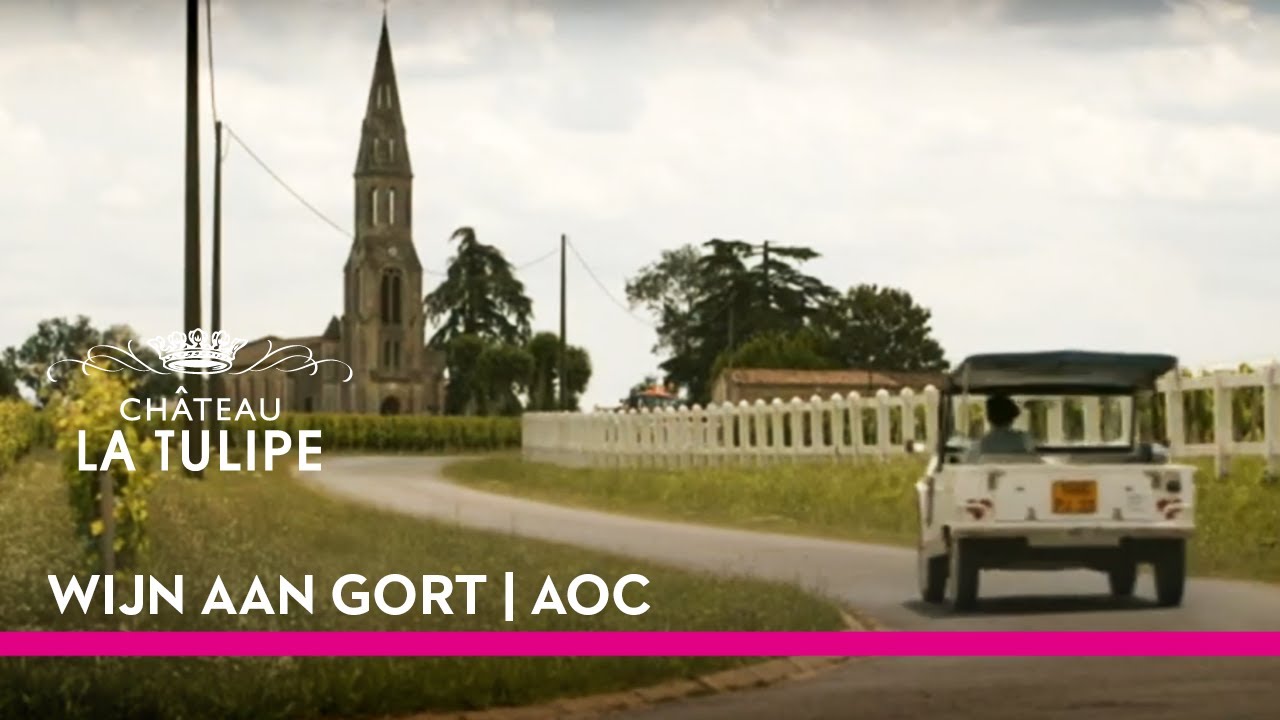 Wijn aan Gort | Seizoen 1 | AFL. 5: AOC