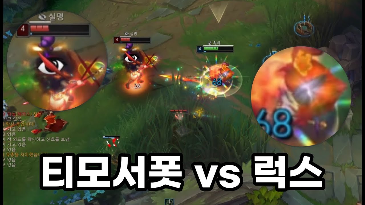 티모서폿 vs 럭스