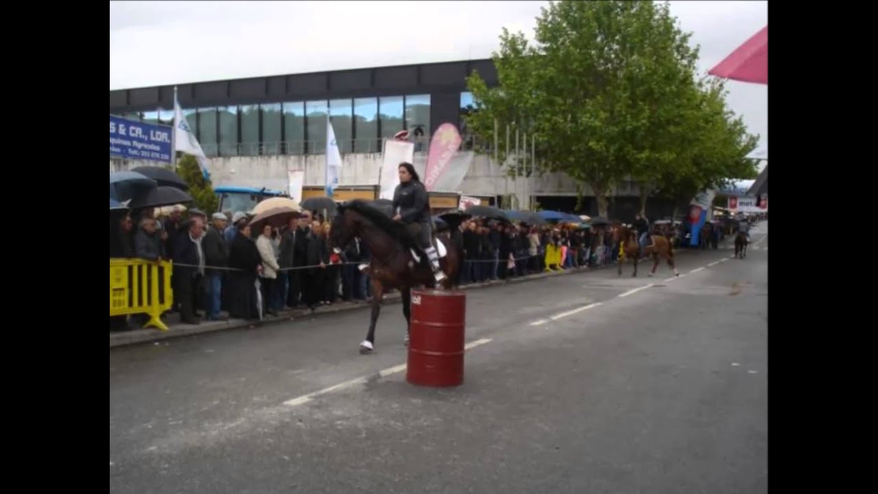 RESUMO Feira de Santa Cruz-Lamego 2014