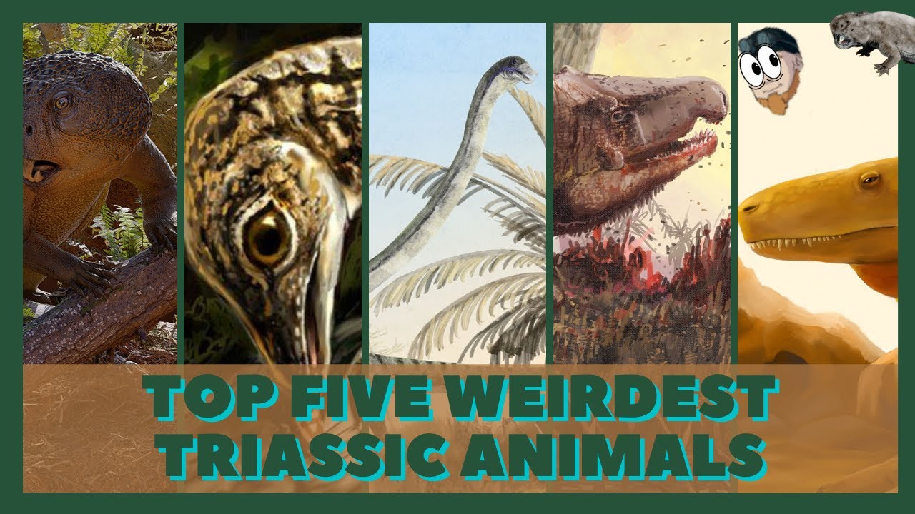 Top 5 Weirdest Triassic Animals!