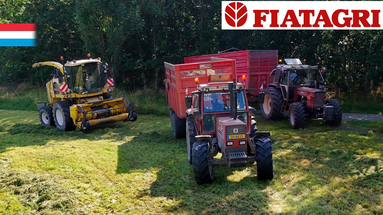 3. Schnitt häckseln | Fiatagri // New Holland // CaseIH | Luxemburg 2024