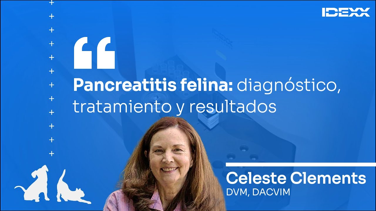 🇪🇸🔵 PANCREATITIS FELINA: diagnóstico, tratamiento y resultados 🎙️ IDEXX Talks [#3]