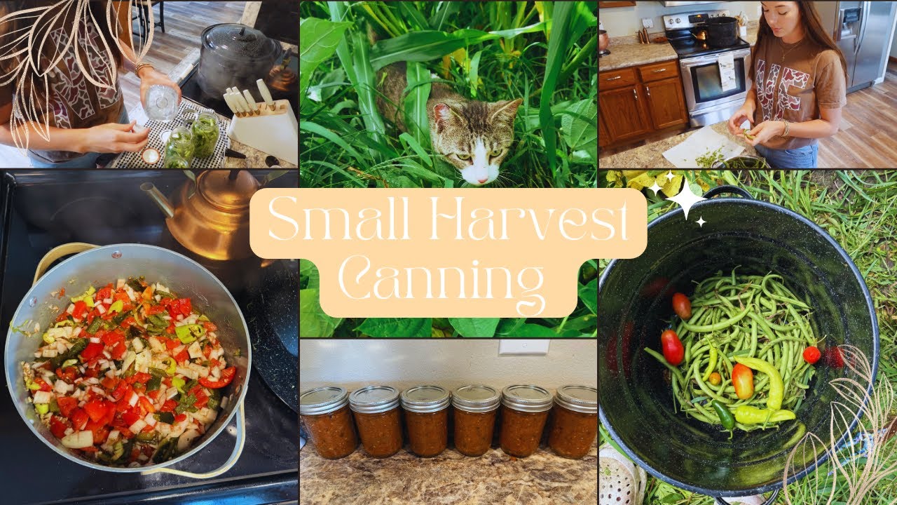 From Garden to Jar: Easy Water Bath Canning Green Beans & Pepper Salsa