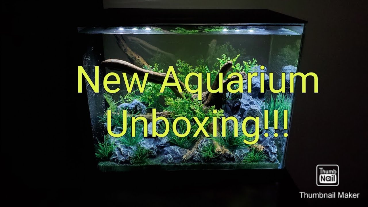 Top Fin Indulge! Unboxing