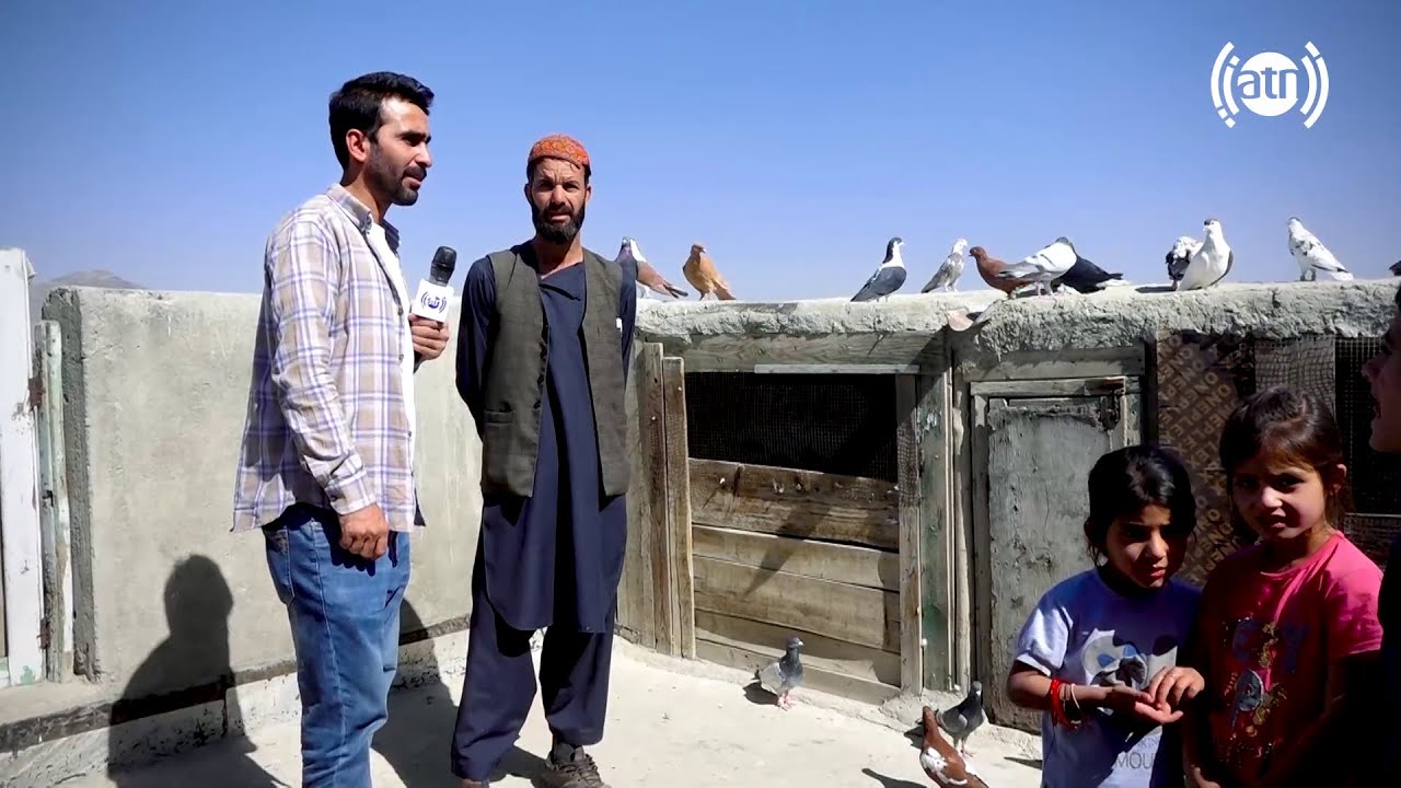 Fifty years experience as pigeon keeper / پنجاه سال سابقه کفتر بازی در قلعه خاطر بی بی مهرو