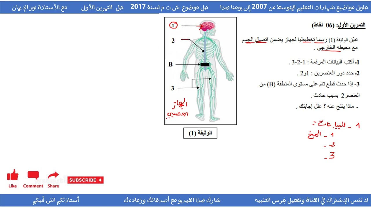 حل تمرين حول مكونات الجهاز العصبي علوم طبيعية سنة 04 متوسط
