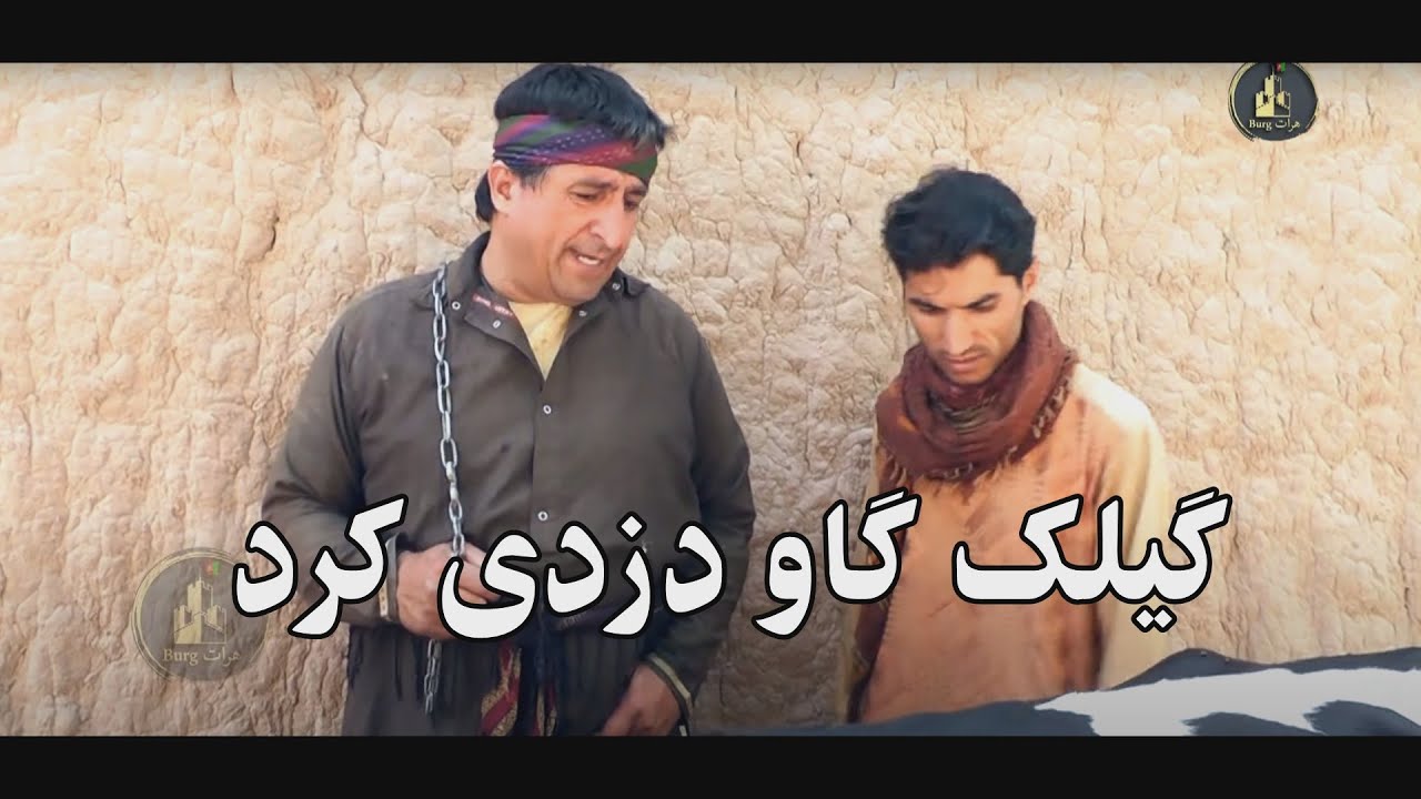گیلک گاو  دزدی کرد
