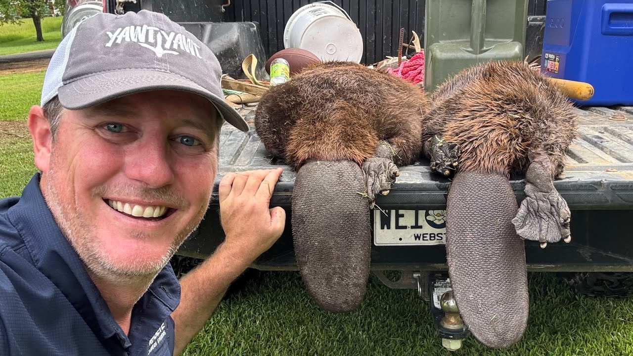 Big Beaver Trapping and Taking the Family out on the Boat.